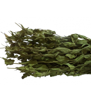 Adaçayı Alanya-antalya Dmt Adaçayı Alanya-antalya Dmt