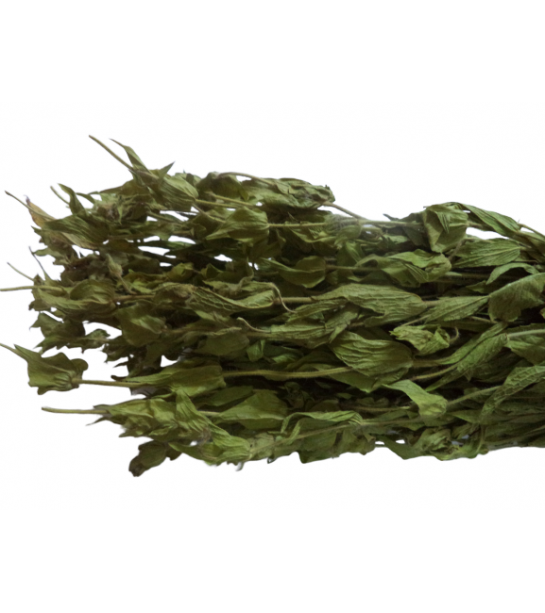 Adaçayı Alanya-antalya Dmt Adaçayı Alanya-antalya Dmt