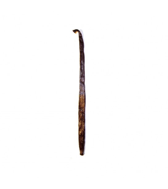Çubuk Vanilya Çubuğu 14-16 cm A Kalite 1 Adet Çubuk Vanilya Çubuğu 14-16 cm A Kalite 1 Adet