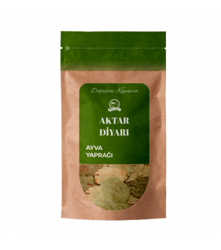 Ayva Yaprağı Ayva Yaprağı