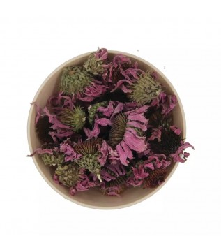 Ekinezya Kelle (çiçek) Ekinezya Kelle (çiçek)