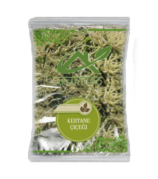 Kestane Çiçeği Kestane Çiçeği