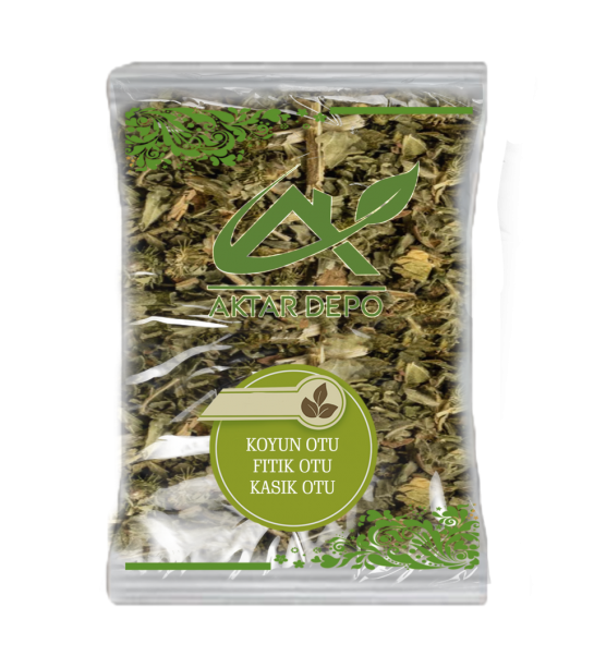 Koyun Otu (fıtık Otu-kasık Otu) Koyun Otu (fıtık Otu-kasık Otu)