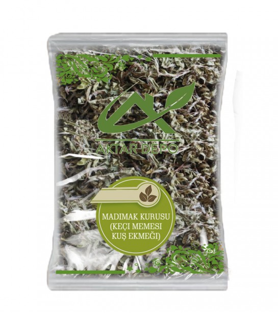 Madımak Kurusu(keçi Memesi-kuş Ekmeği) Madımak Kurusu(keçi Memesi-kuş Ekmeği)