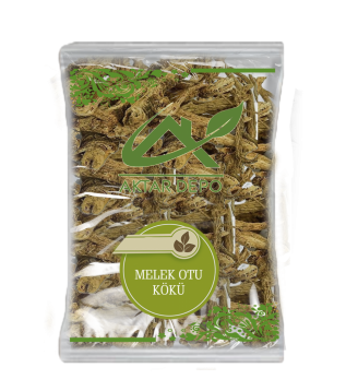 Melek Otu Kökü Melek Otu Kökü