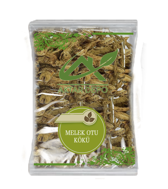 Melek Otu Kökü Melek Otu Kökü