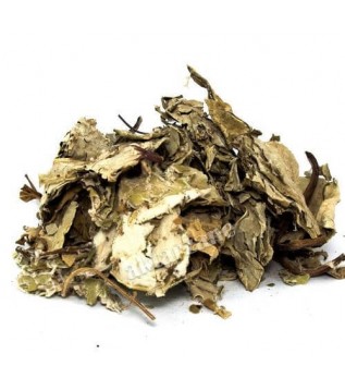 Öksürük Otu  Farfara (deve Tabanı) Öksürük Otu  Farfara (deve Tabanı)