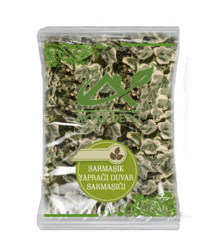 Sarmaşık Yaprağı (duvar Sarmaşığı) Sarmaşık Yaprağı (duvar Sarmaşığı)