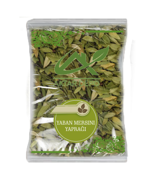 Yaban Mersini Yaprağı Yaban Mersini Yaprağı