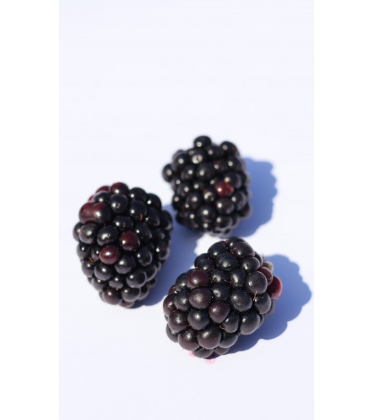 Böğürtlen Meyvesi 500 GR Böğürtlen Meyvesi 500 GR