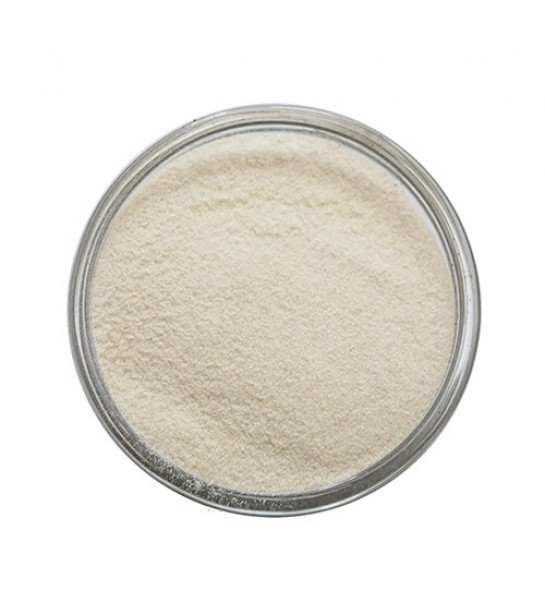 Agar Agar E406 100 GR