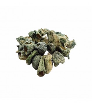 Antep Kuru Dolmalık Acur