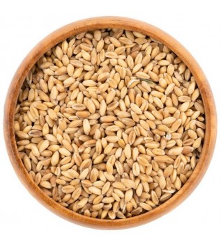 Buğday Kuş Yemi 25 Kg Çuval Buğday Kuş Yemi 25 Kg Çuval