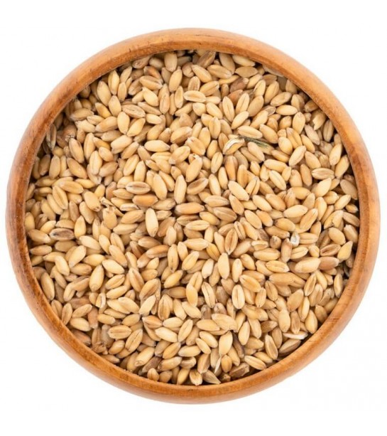 Buğday Kuş Yemi 25 Kg Çuval Buğday Kuş Yemi 25 Kg Çuval