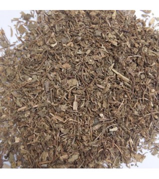 Gotu Kola-centella Asiatica