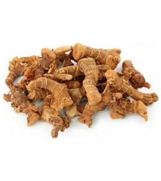 Havlıcan Tane Hindistan Öğütmelik Havlıcan Tane Hindistan Öğütmelik