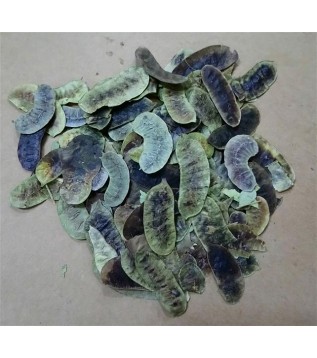 Aşlık Otu-açlık Otu Aşlık Otu-açlık Otu