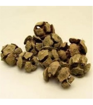 Selvi Kozalak Selvi Kozalak