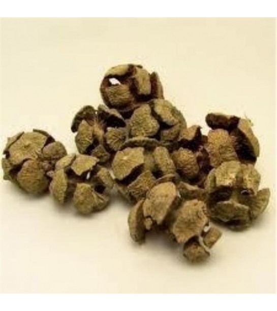 Selvi Kozalak Selvi Kozalak