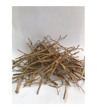 Çin Geveni-astragalus Çin Geveni-astragalus