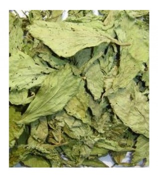 Şeker Otu (gurmar-cinnema) Şeker Otu (gurmar-cinnema)