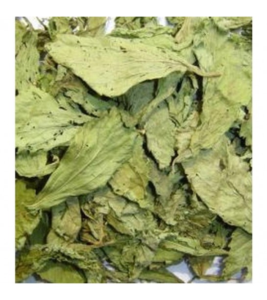 Şeker Otu (gurmar-cinnema) Şeker Otu (gurmar-cinnema)