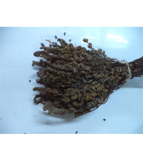 Altın Otu Kahverengi Demet Altın Otu Kahverengi Demet