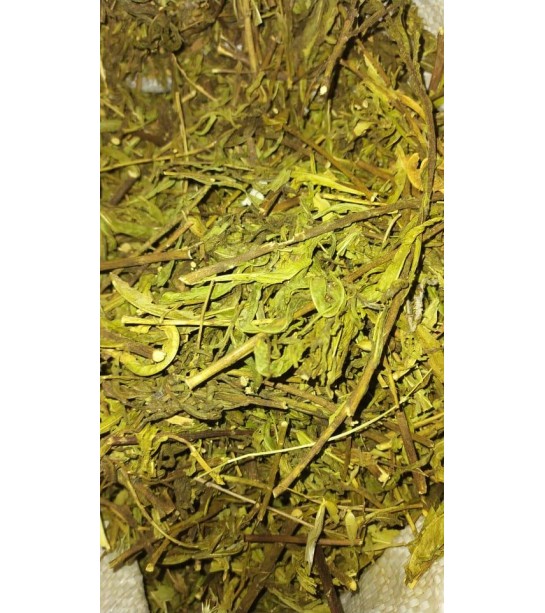 Yapışkan Andız Otu