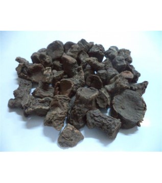 Andız Kökü (rizom) Andız Kökü (rizom)