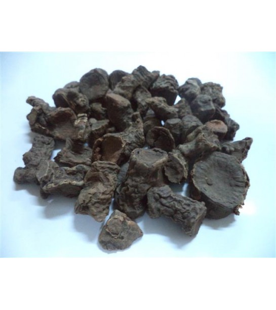 Andız Kökü (rizom) Andız Kökü (rizom)