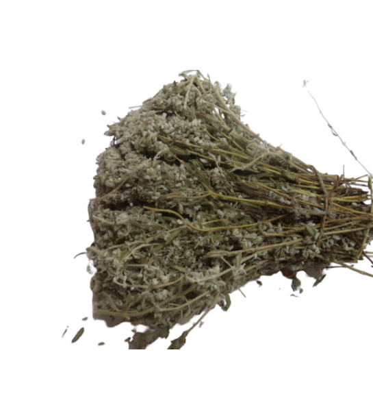 Bodur Mahmut Demet Bodur Mahmut Demet