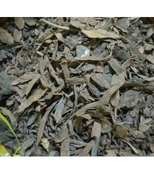 Yaprak Buhur-amber Kabuğu Yaprak Buhur-amber Kabuğu