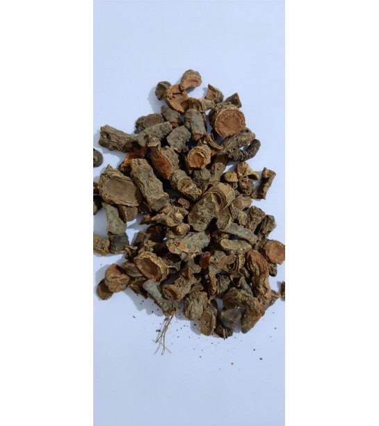 Centiyane-yılan Otu Kökü 100 GR Centiyane-yılan Otu Kökü 100 GR