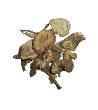 Çakşır Kökü Çakşır Kökü