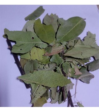 Dağ Çileği-kocayemiş Yaprağı Granül Dağ Çileği-kocayemiş Yaprağı Granül