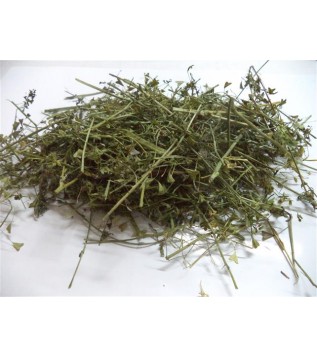 Çoban Çantası-çemberotu-civelek Çoban Çantası-çemberotu-civelek