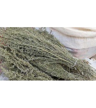 Çörtük Otu Demet Çörtük Otu Demet