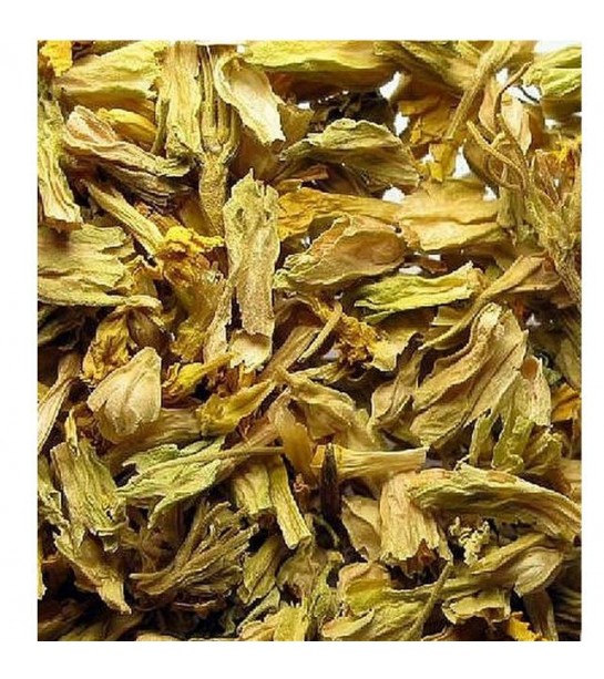 Çuha Çiçeği Çuha Çiçeği