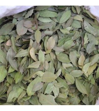 Defne Yaprağı 1. 500 GR Defne Yaprağı 1. 500 GR