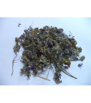 Ebegümeci Ebegümeci