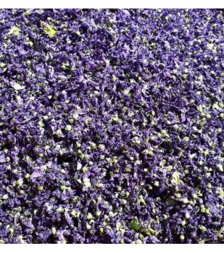 Ebegümeci Çiçeği İthal Ebegümeci Çiçeği İthal