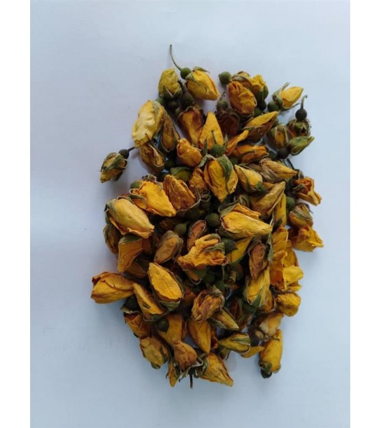 Gül Kurusu Sarı Tomurcuk Gül Kurusu Sarı Tomurcuk