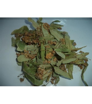 Ihlamur Yaprak Ihlamur Yaprak