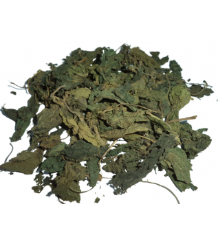 Isırgan Otu Yaprağı Isırgan Otu Yaprağı