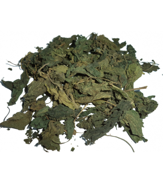 Isırgan Otu Yaprağı Isırgan Otu Yaprağı