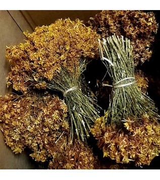 Kantaron Otu Sarı Demet Kantaron Otu Sarı Demet