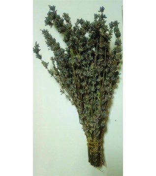 Lavanta Demet Lavanta Demet