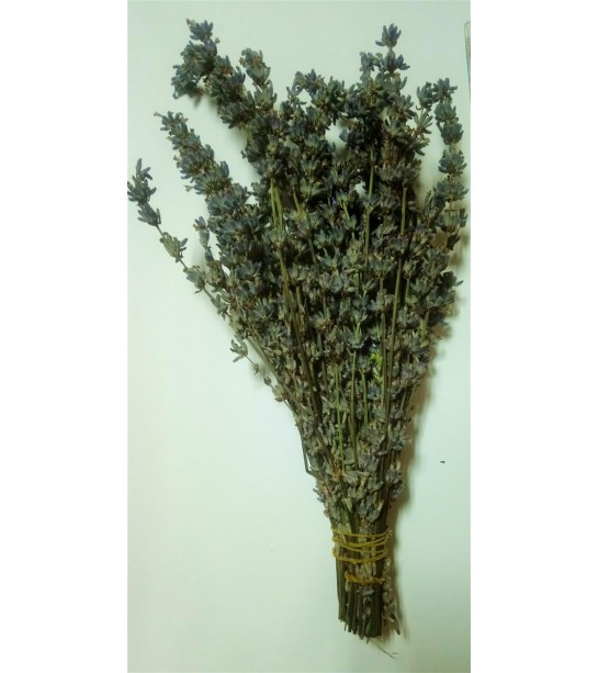 Lavanta Demet Lavanta Demet