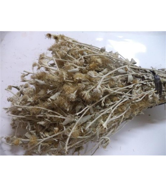 Kaya Oğul Otu Demet Kaya Oğul Otu Demet