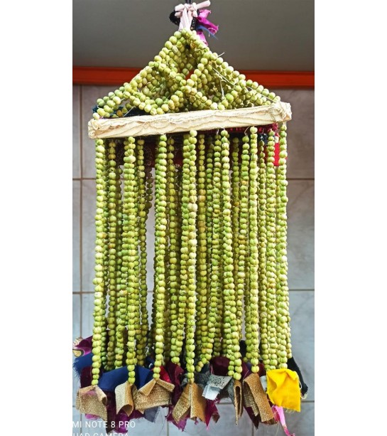 Üzerlik Otu Süs Üzerlik Otu Süs